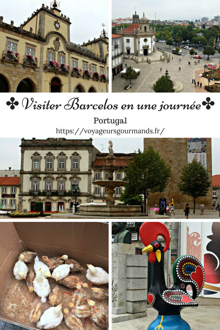 Visiter Barcelos en une journée pinterest