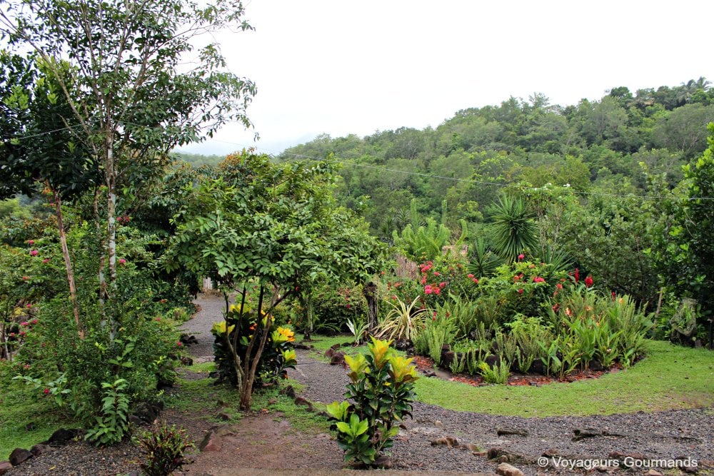que faire en martinique