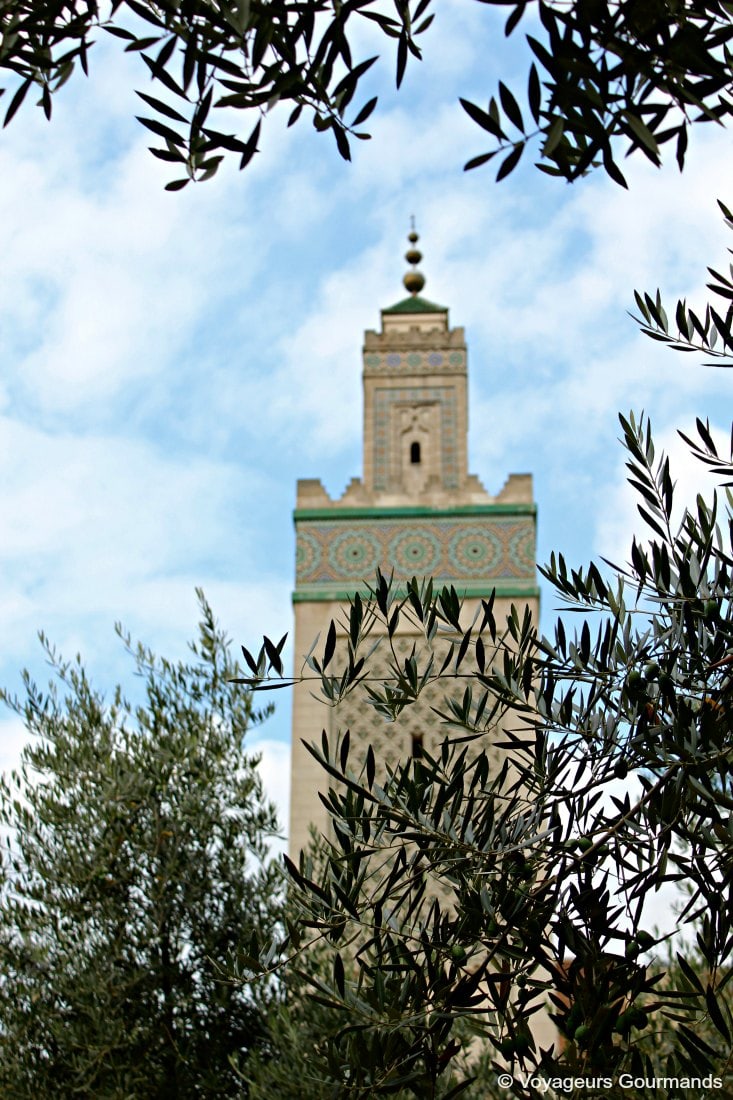visiter la mosquée de paris