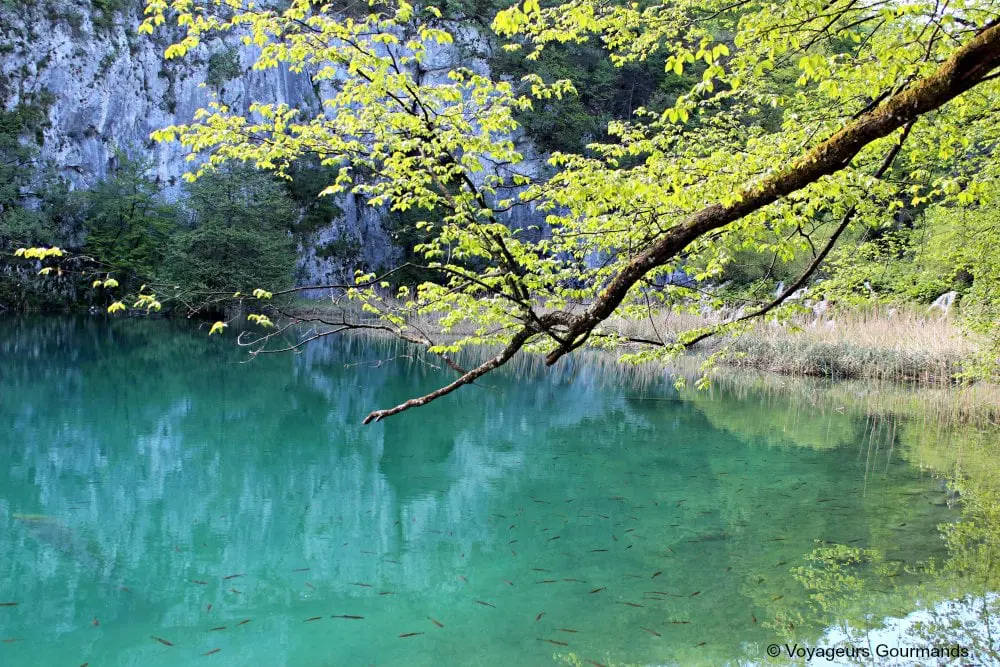 Lac de Plitvice 7