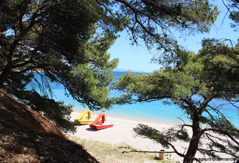 ile de brac
