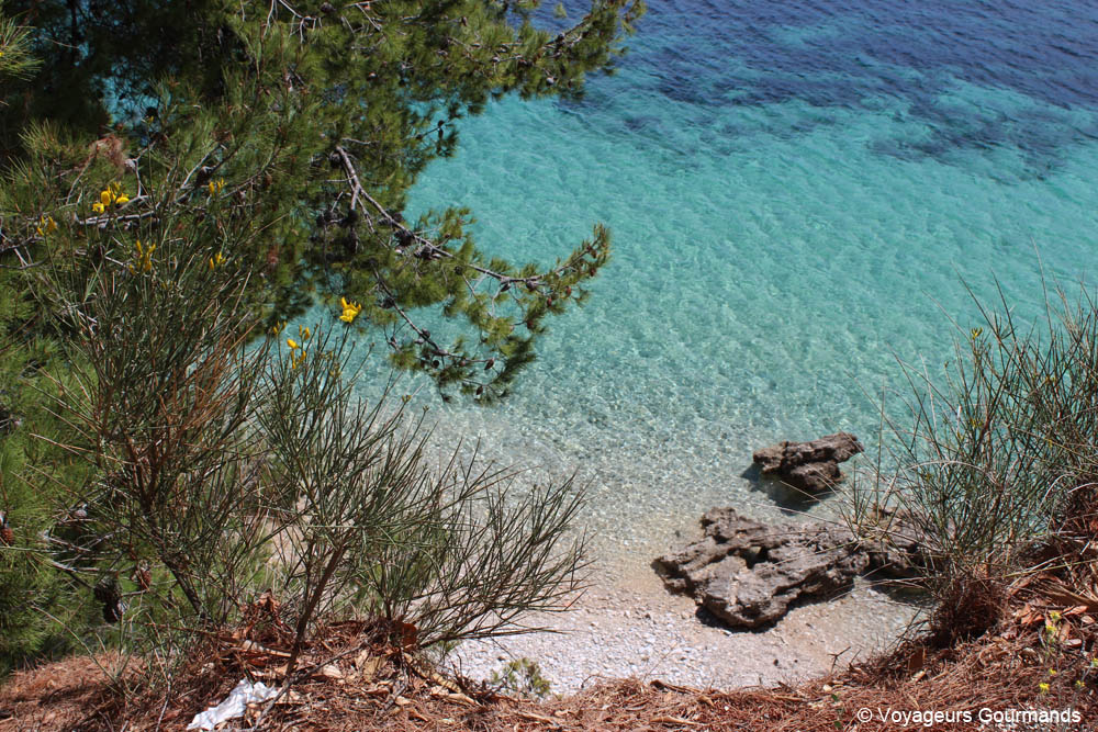 ile de brac