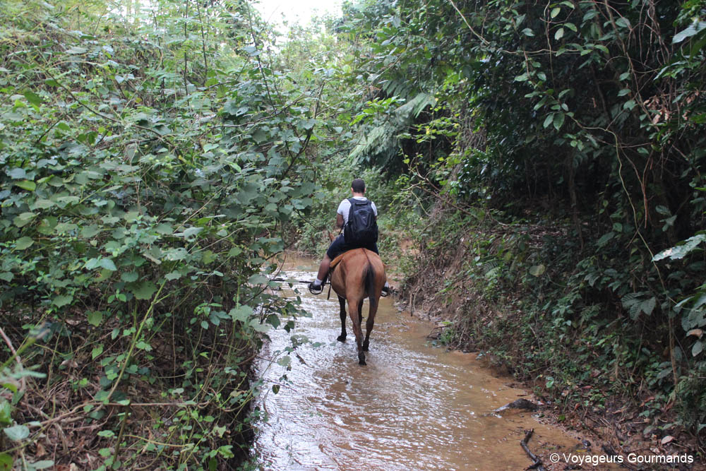 vallee de vinales