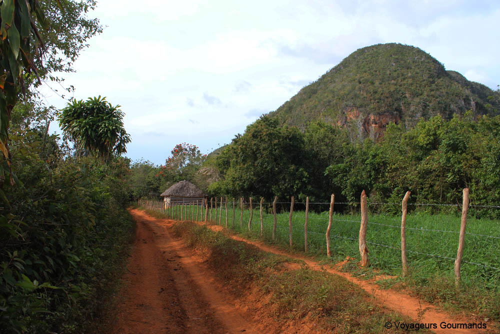 vallee de vinales