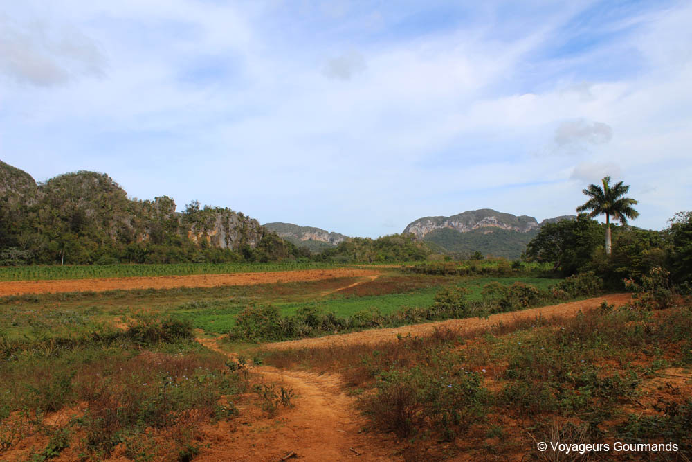 vallee de vinales