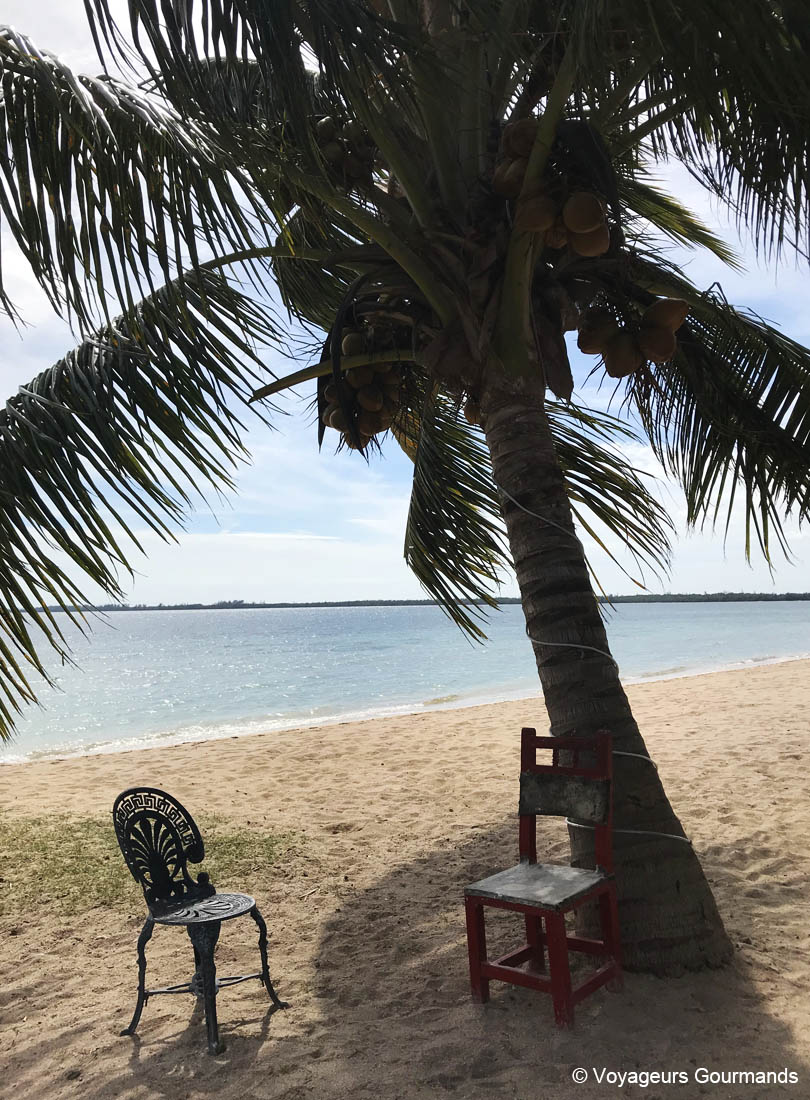 visiter playa larga