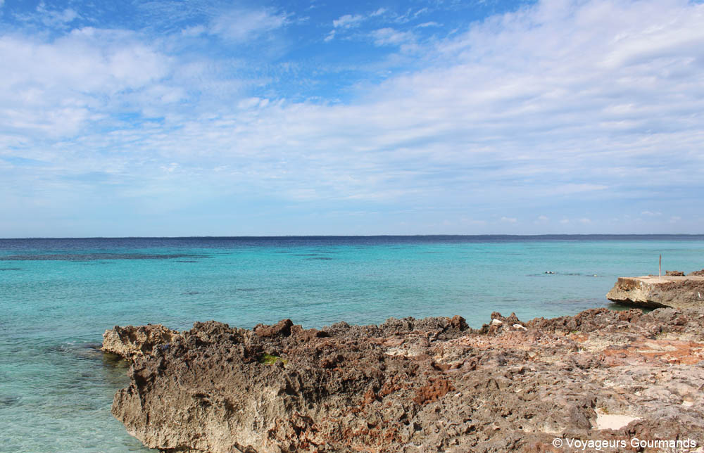 visiter playa larga