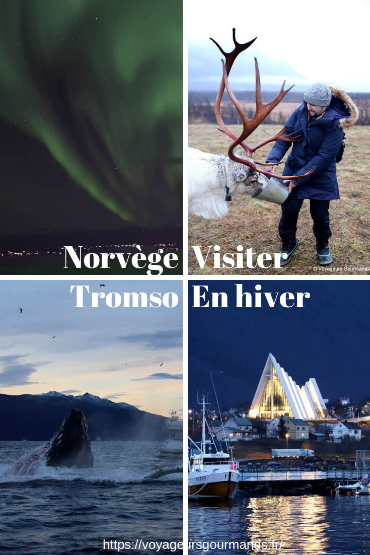 visiter Tromso en Hiver
