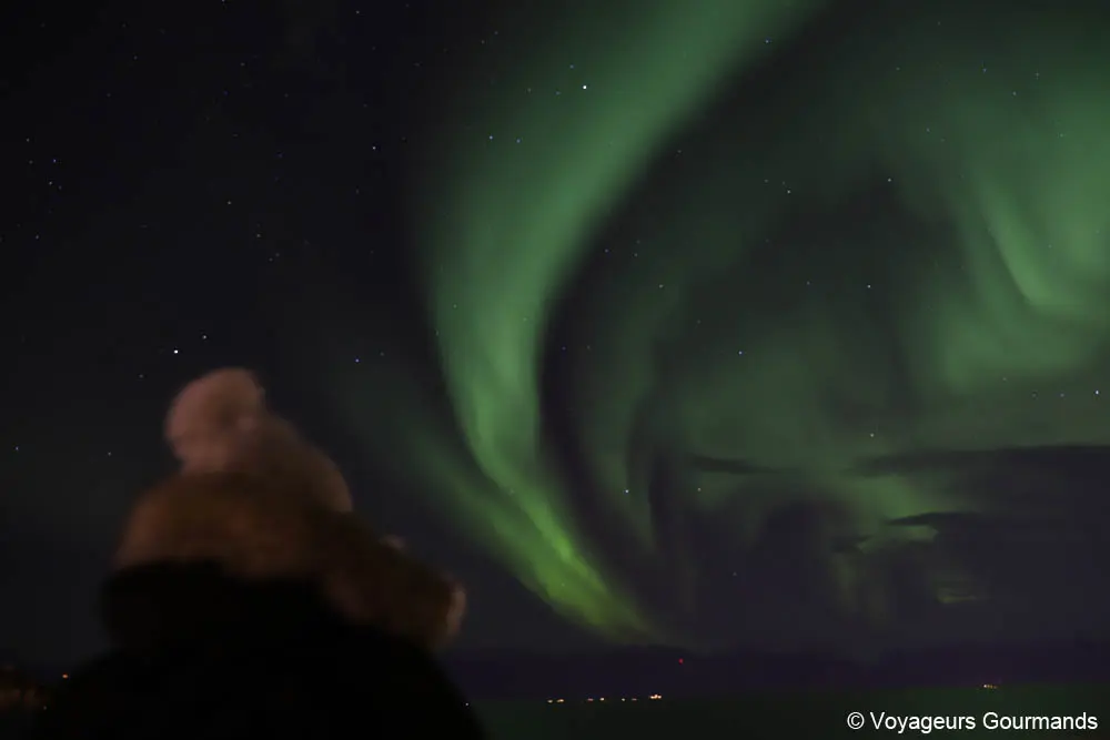 aurores boreales en Norvege 6