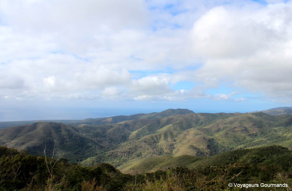 topes de collantes