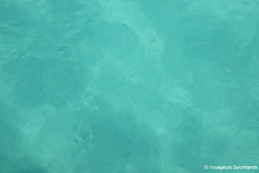 bacalar yucatan