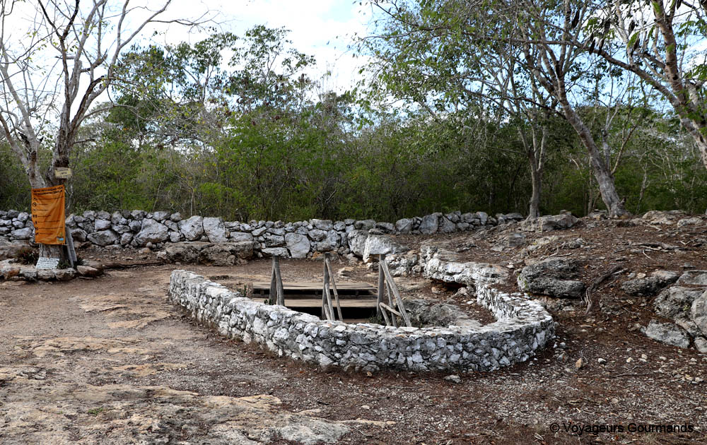 cenotes du yucatan