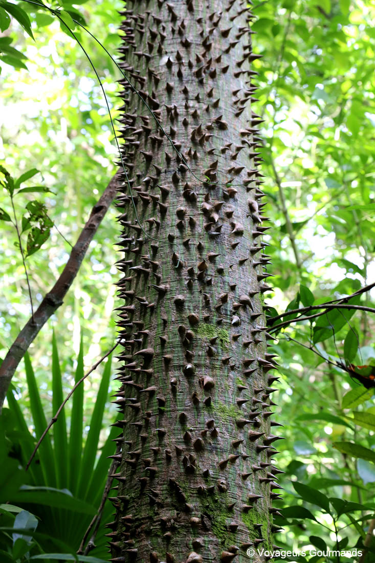 reserve de sian kaan