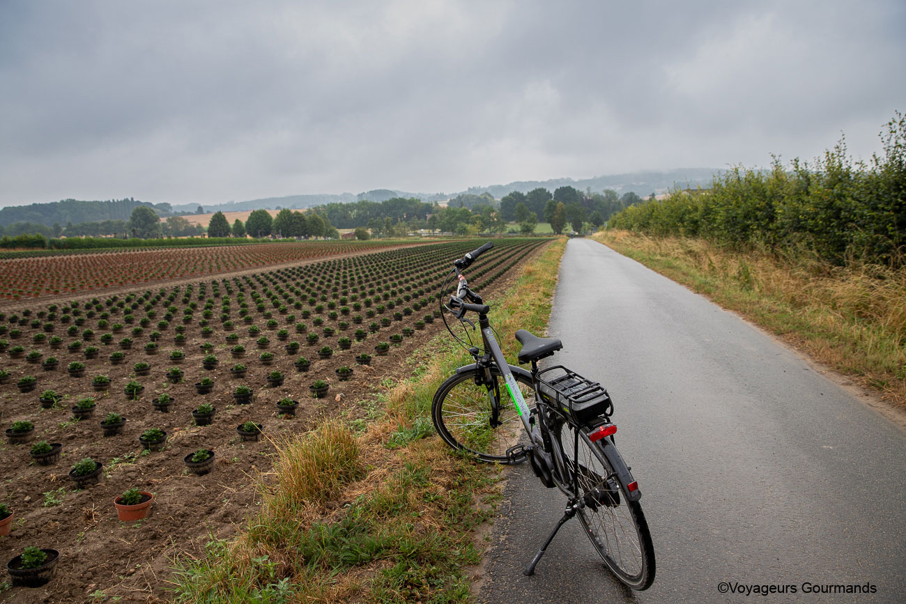 vallee de la Lys et les Monts de Flandre 36