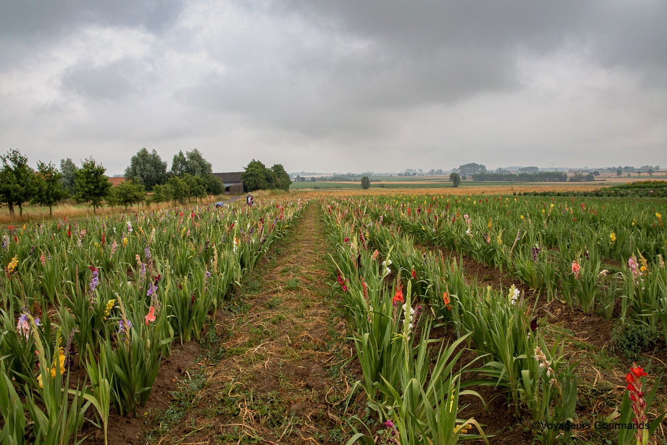 vallee de la Lys et les Monts de Flandre 37