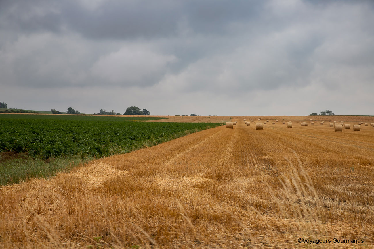 vallee de la Lys et les Monts de Flandre 38