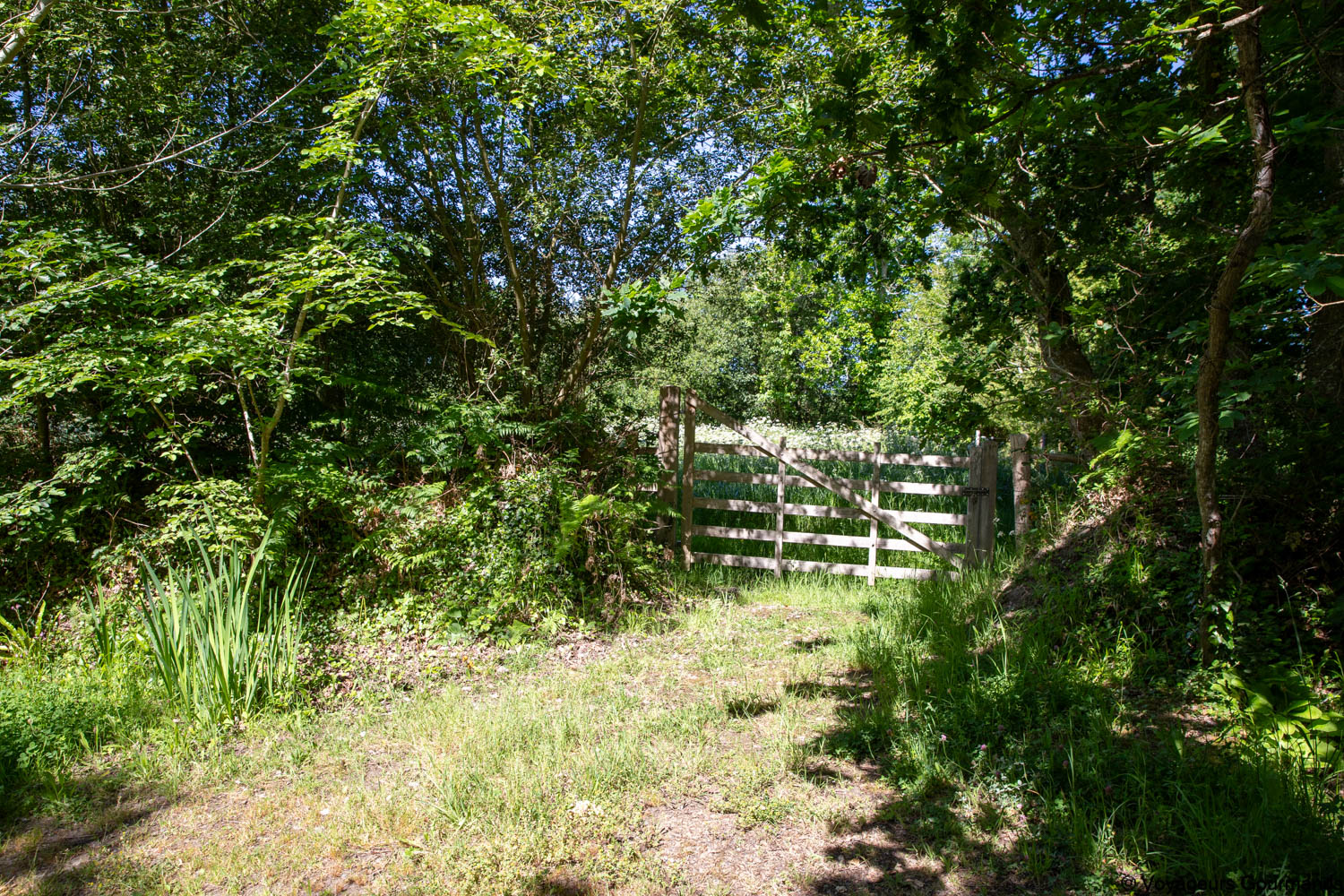 cote de granit rose marais de quellen 6
