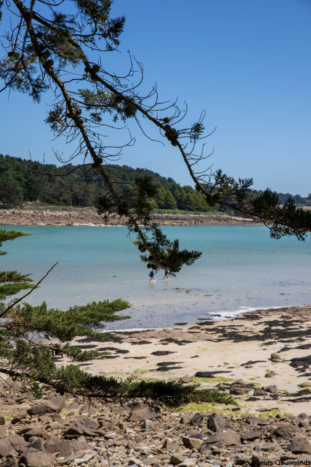 visiter la cote de granit rose 22