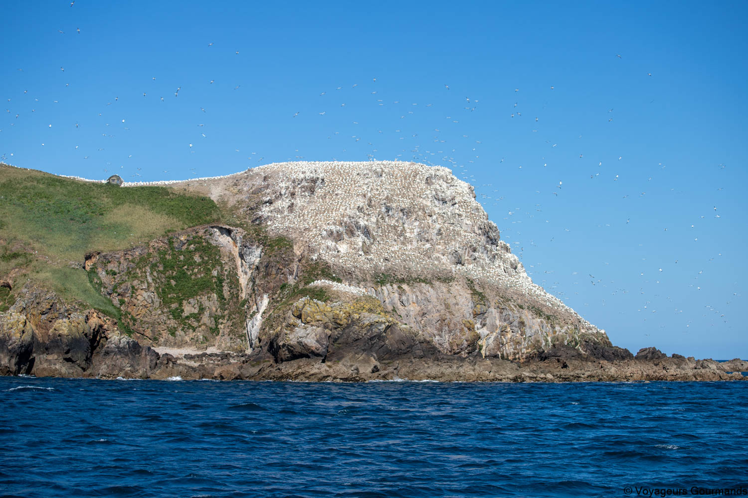 visiter la cote de granit rose 56